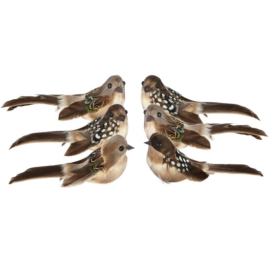 Dekoratief | Vogeltje op clip, bruin, 11x6x6cm, set van 2 stuks | A265568