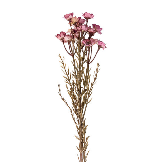 Clayre &amp; Eef | Decoratie tak met bloemen Roze 77 cm | 5PL0290P