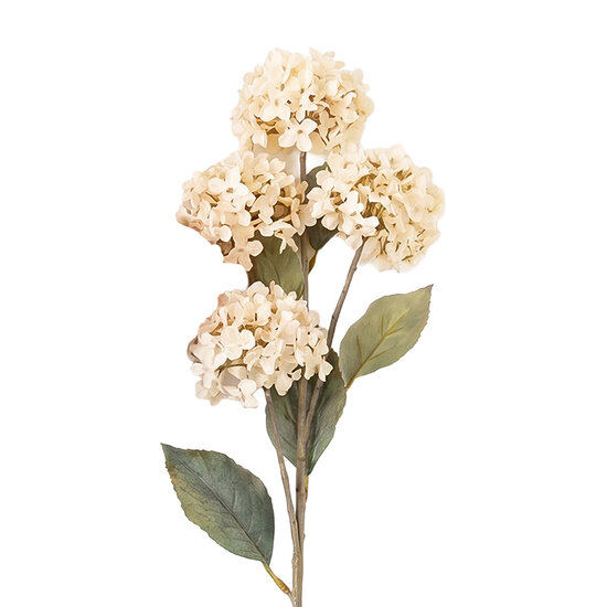 Clayre &amp; Eef | Decoratie tak met bloemen Wit 70 cm | 5PL0313W