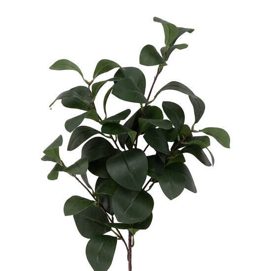 Clayre &amp; Eef | Decoratie tak Groen 90 cm | 5PL0319