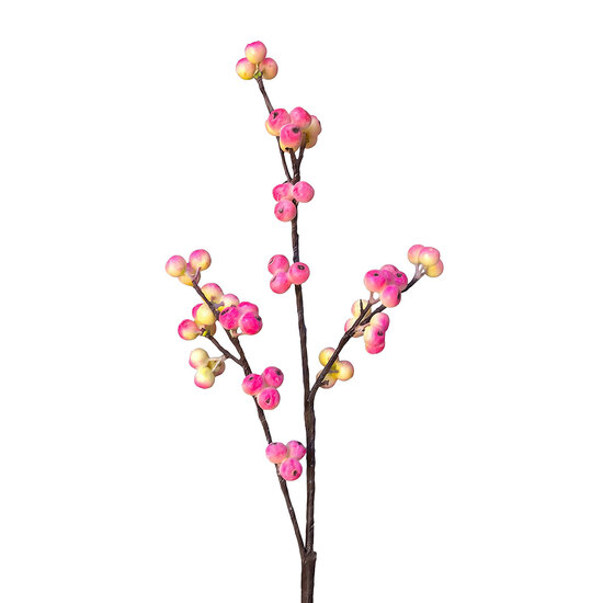 Clayre &amp; Eef | Decoratie tak Rood 85 cm | 5PL0342