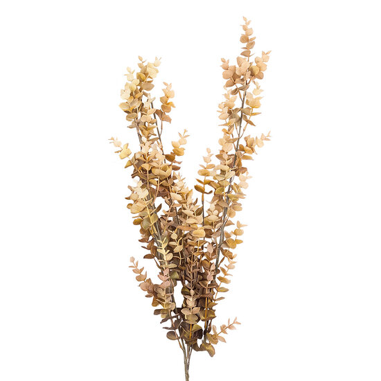 Clayre &amp; Eef | Decoratie tak Beige Groen 90 cm | 5PL0352BE