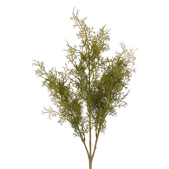 Clayre &amp; Eef | Decoratie tak Groen 72 cm | 5PL0356GR