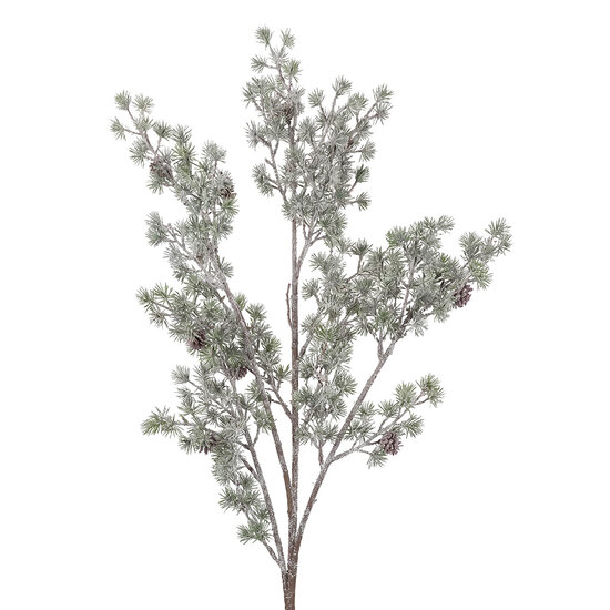 Clayre &amp; Eef | Decoratie tak Groen 80 cm | 5PL0360