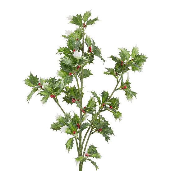 Clayre &amp; Eef | Decoratie tak Groen 60 cm | 5PL0363