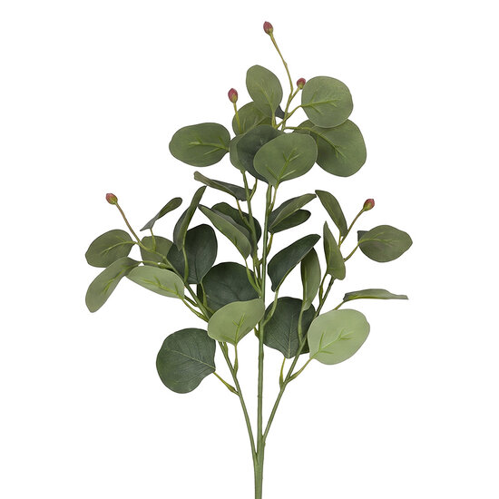 Clayre &amp; Eef | Decoratie tak Paars Groen 85 cm | 5PL0365PA