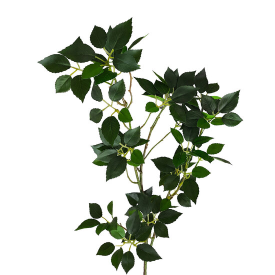 Clayre &amp; Eef | Decoratie tak Groen 82 cm | 5PL0368