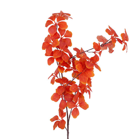 Clayre &amp; Eef | Decoratie tak Oranje Bruin 80 cm | 5PL0369