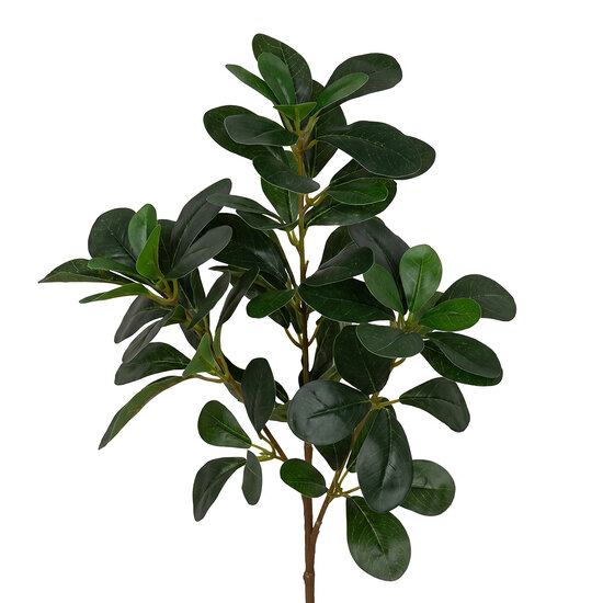Clayre &amp; Eef | Decoratie tak Groen 78 cm | 5PL0370