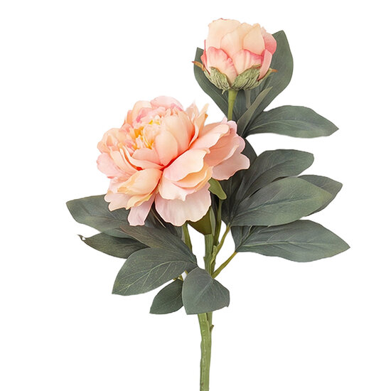 Clayre &amp; Eef | Decoratie tak met bloemen Roze Groen 73 cm | 5PL0377P