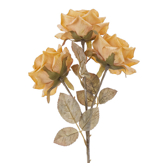 Clayre &amp; Eef | Decoratie tak met bloemen Beige 64 cm | 5PL0378BE