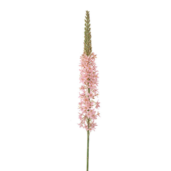 Clayre &amp; Eef | Decoratie tak met bloemen Roze Groen | 5PL0381LP