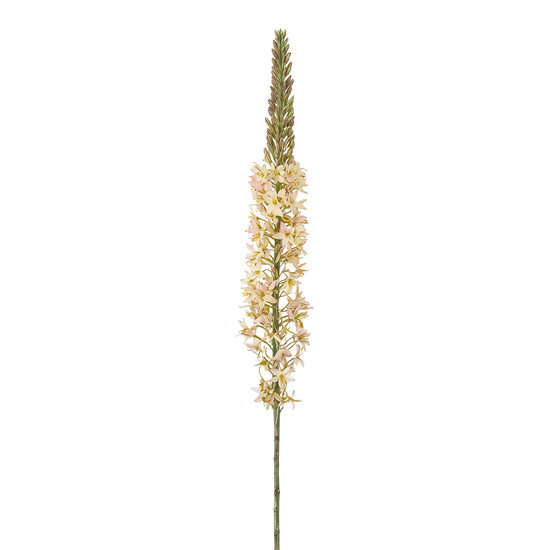 Clayre &amp; Eef | Decoratie tak met bloemen Wit Groen | 5PL0381W