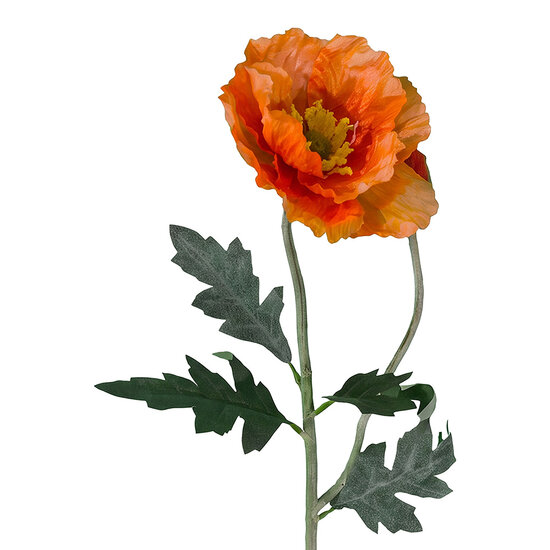 Clayre &amp; Eef | Decoratie tak met bloemen Oranje Groen | 5PL0382O