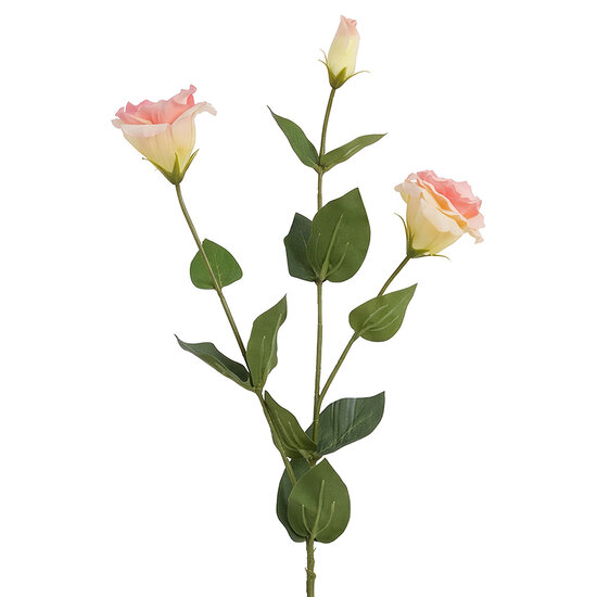 Clayre &amp; Eef | Decoratie tak met bloemen Roze Groen 72 cm | 5PL0384LP