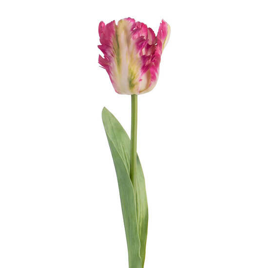 Clayre &amp; Eef | Decoratie tak met bloemen Roze Groen 61 cm | 5PL0385F