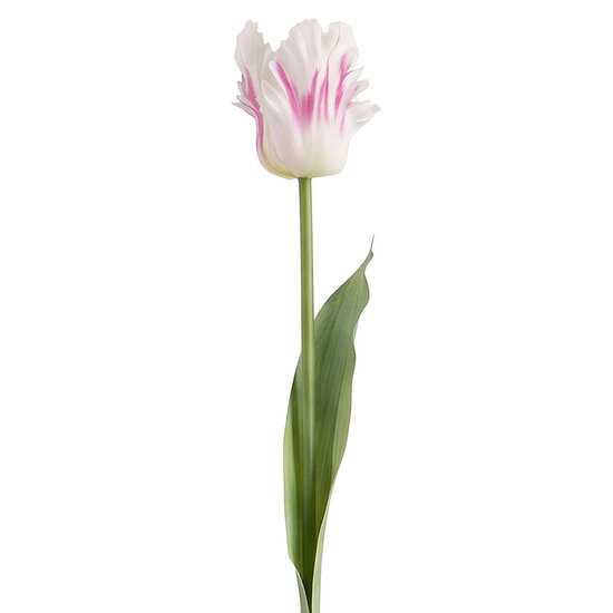Clayre &amp; Eef | Decoratie tak met bloemen Roze Groen 61 cm | 5PL0385P