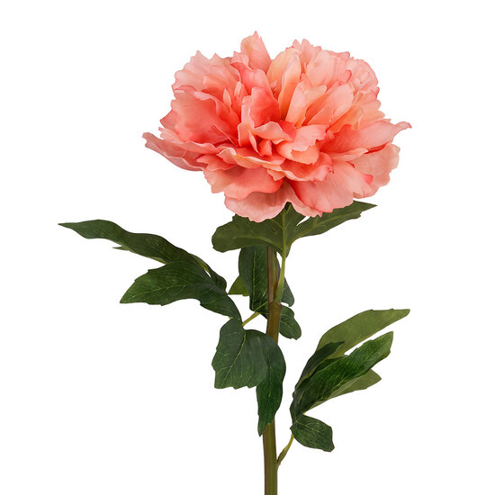 Clayre &amp; Eef | Decoratie tak met bloemen Roze Groen 52 cm | 6PL0441P