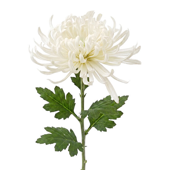 Clayre &amp; Eef | Decoratie tak met bloemen Wit Groen 76 cm | 5PL0335W