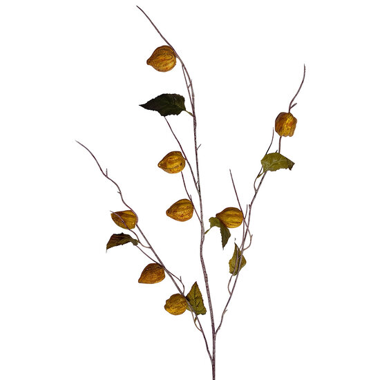 Clayre &amp; Eef | Decoratie tak met bloemen Geel 105 cm | 5PL0286Y