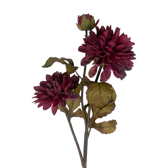 Clayre &amp; Eef | Decoratie tak met bloemen Rood 66 cm | 5PL0295R