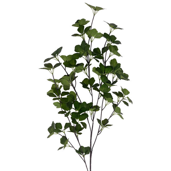Clayre &amp; Eef | Decoratie tak Groen 90 cm | 5PL0298