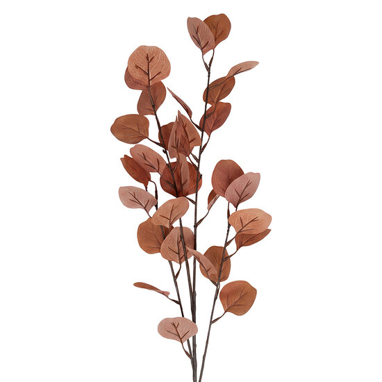 Clayre &amp; Eef | Decoratie tak Oranje 90 cm | 5PL0299O