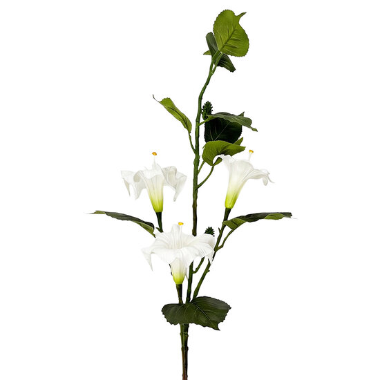Clayre &amp; Eef | Decoratie tak met bloemen Wit Groen 109 cm | 5PL0323W