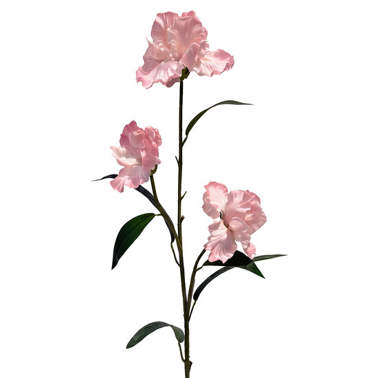 Clayre &amp; Eef | Decoratie tak met bloemen Roze Groen 109 cm | 5PL0328LP