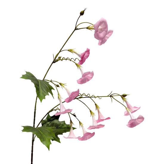 Clayre &amp; Eef | Decoratie tak met bloemen Roze Groen 80 cm | 5PL0332LP