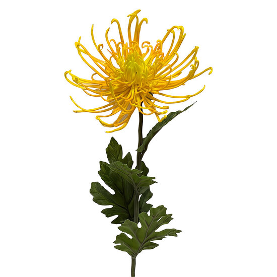 Clayre &amp; Eef | Decoratie tak met bloemen Geel Groen 72 cm | 5PL0334Y