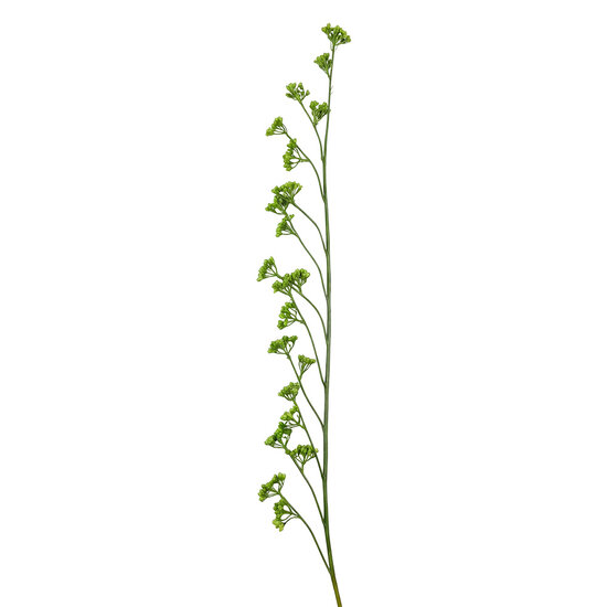Clayre &amp; Eef | Decoratie tak Groen 130 cm | 5PL0355