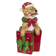 Decoratie hond met kerstcadeau LED 23*19*39 cm Meerkleurig | 6PR3000 | Clayre &amp; Eef