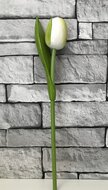 Tulpen in Vaas - Bedankt voor de fleurige tijd | Juf &amp; Meester Bedankjes 3