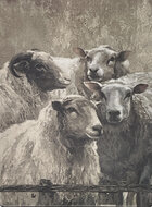 Staand deco bord nostalgisch afbeelding schapen 19 x 14 cm  mdf | 65511 | Home Sweet Home | Stoer &amp; Sober Woonstijl