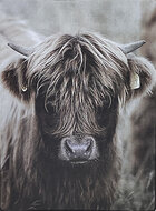 Staand deco bord nostalgisch afbeelding Schotse hooglander 19 x 14 cm  mdf | 65512 | Home Sweet Home | Stoer &amp; Sober Woonst