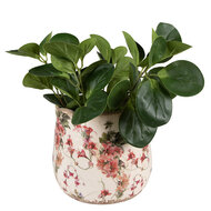 Clayre & Eef | Bloempot Binnen Roze, Beige ø 18x16 cm | 6CE1549M