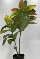 Decoratie kunstplant Calathea in kunststof pot 70 cm  | 789571 | Countryfield | Stoer &amp; Sober Woonstijl