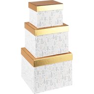 Dekoratief | Set 3 dozen vierkant &#039;Winter Forest&#039;, goud/wit, 18x18x14cm | A235593