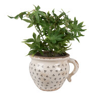 Clayre & Eef | Bloempot Binnen Beige Zwart 20x17x15 cm | 6CE1655L