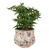 Clayre &amp; Eef | Bloempot Binnen Beige Roze &oslash; 18x15 cm | 6CE1612M