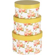 Dekoratief | Set 3 dozen rond &#039;Popping Peaches&#039;, karton, 21x21x13cm | A240219