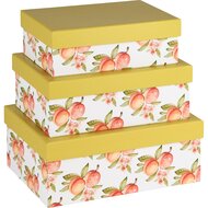 Dekoratief | Set 3 dozen rechthoek &#039;Popping Peaches&#039;, karton, 26x18x10cm | A240220