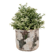 Clayre &amp; Eef | Bloempot Binnen Beige Groen &oslash; 17x15 cm | 6TE0516L