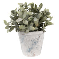 Clayre &amp; Eef | Bloempot Binnen Wit Blauw &oslash; 12x11 cm | 6TE0520M