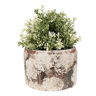 Clayre &amp; Eef | Bloempot Binnen Beige Groen &oslash; 18x11 cm | 6TE0539L