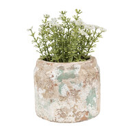 Clayre &amp; Eef | Bloempot Binnen Beige Groen &oslash; 11x9 cm | 6TE0539S