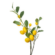 Clayre &amp; Eef | Decoratie tak met Citroenen Geel Groen 20x7x102 cm | 5PL0105
