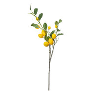 Clayre &amp; Eef | Decoratie tak met Citroenen Geel Groen 20x7x102 cm | 5PL0105