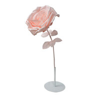 Clayre & Eef | Decoratie roos Roze ø 33x100 cm | 50780